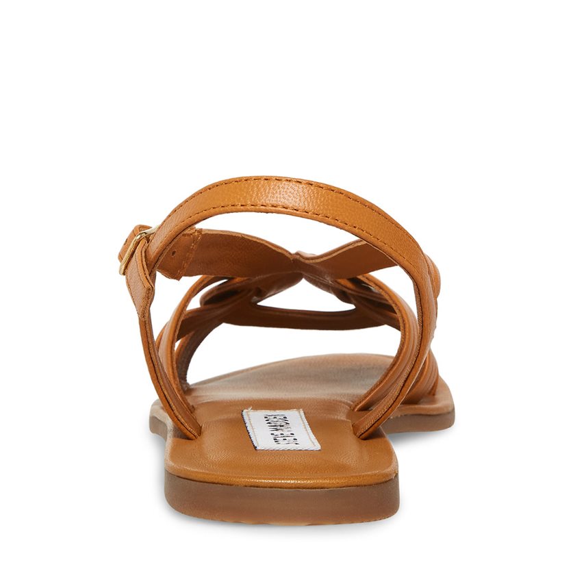 Brown Steve Madden Prim Women's Flat Sandals | PH 4079DBE